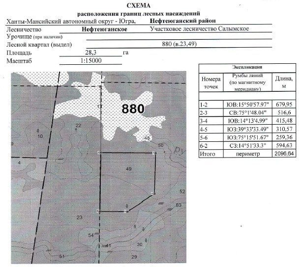 Продажа участка 28,3 га под заготовку древесины