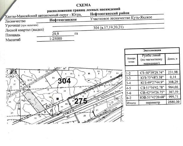 Продажа участка 29,9 га под заготовку древесины