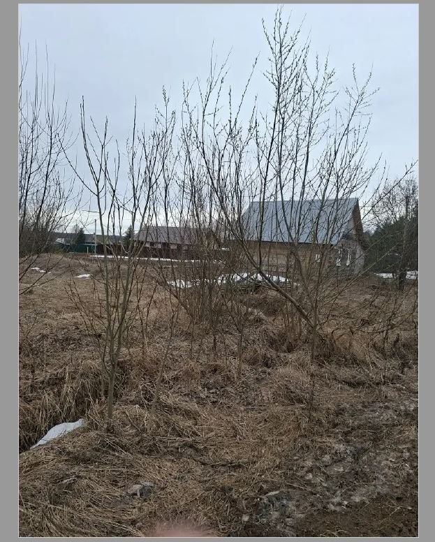 Аренда участка 10 сот. под ИЖС — Вологодская область