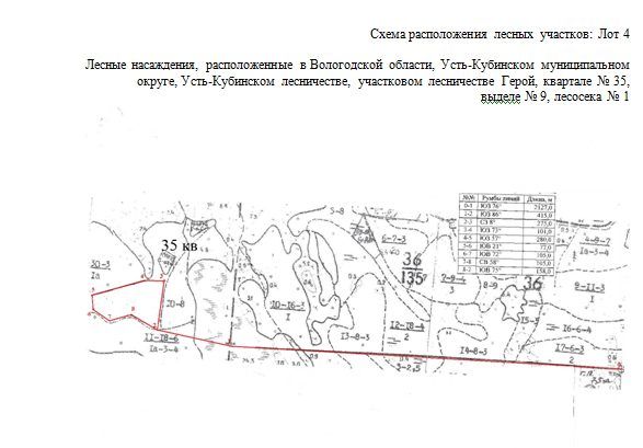 Продажа участка 6,3 га под заготовку древесины, лот 4