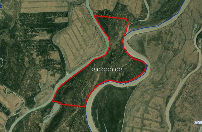 Аренда участка 239,3 га под растениеводство