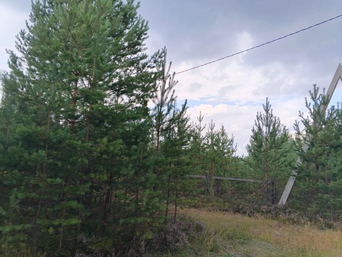 Аренда участка 12 сот. под ИЖС — Новгородская область, лот 1