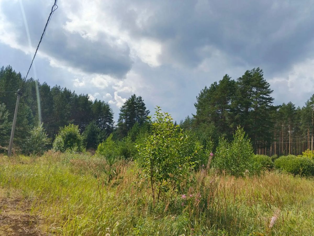 Продажа участка 12 сот. под ИЖС — Новгородская область