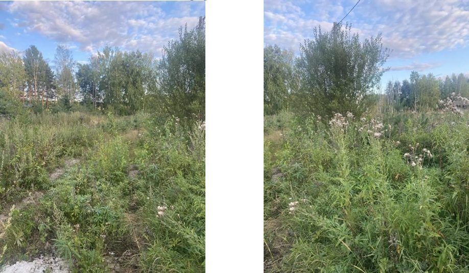 Продажа участка 6 сот. под ИЖС — Республика Карелия, лот 4
