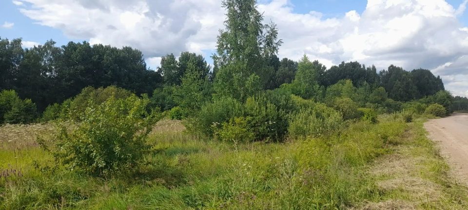 Аренда участка 851 га под сельхоз — Тверская область