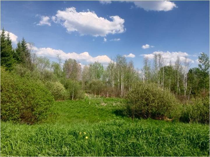 Аренда участка 12,59 сот. под дорожный сервис