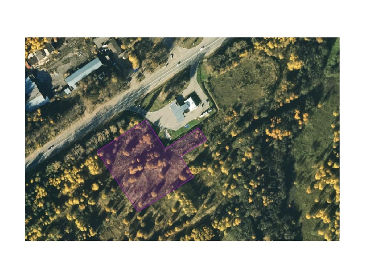 Аренда участка 1 га под дорожный сервис