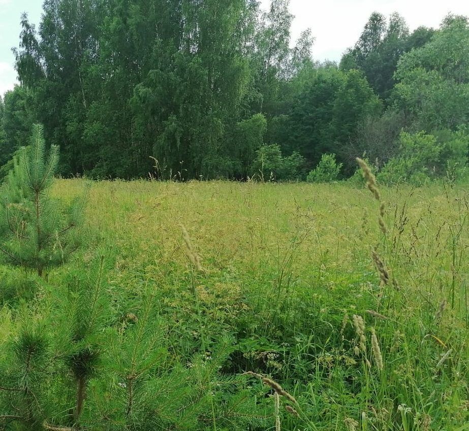 Аренда участка 22,5 сот. под садоводство