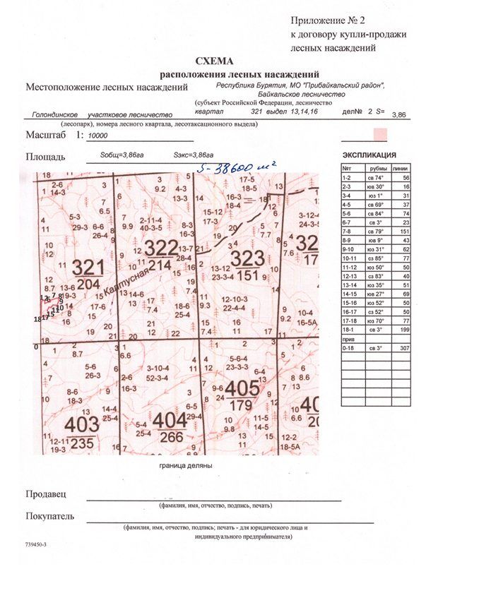 Продажа участка 3,86 га под заготовку древесины