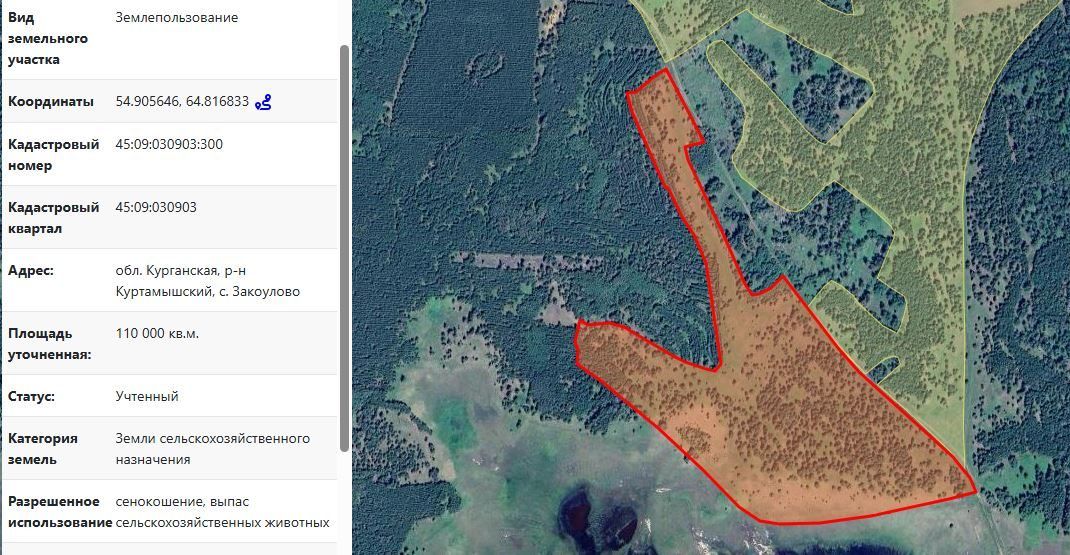 Аренда участка 11 га под сельхоз — Курганская область, лот 2