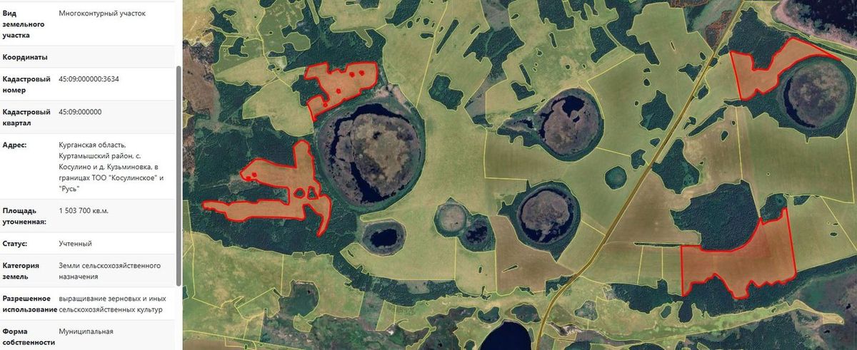 Аренда участка 150,37 га под сельхоз — обл Курганская