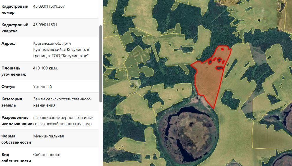 Аренда участка 41,01 га под сельхоз — обл Курганская