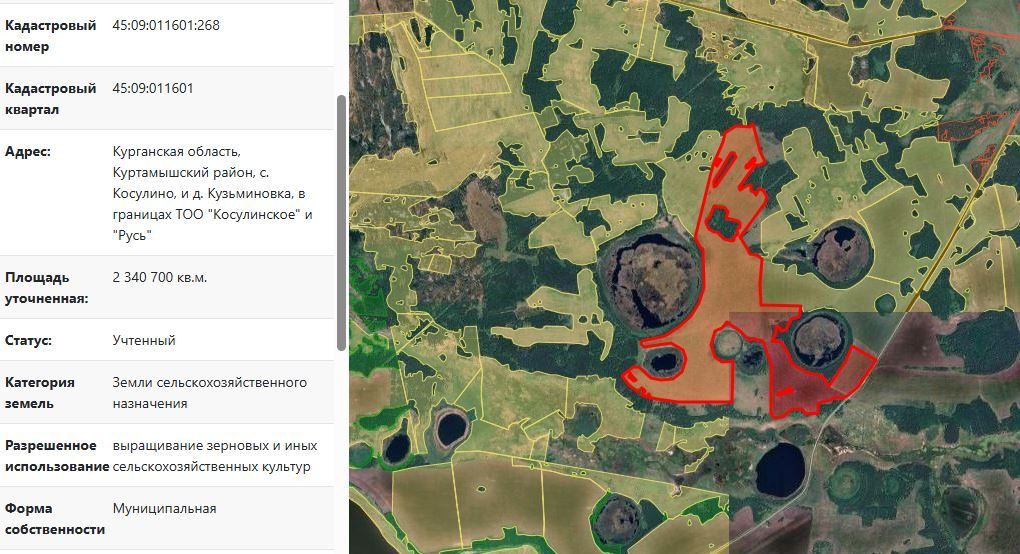 Аренда участка 234,07 га под сельхоз — обл Курганская