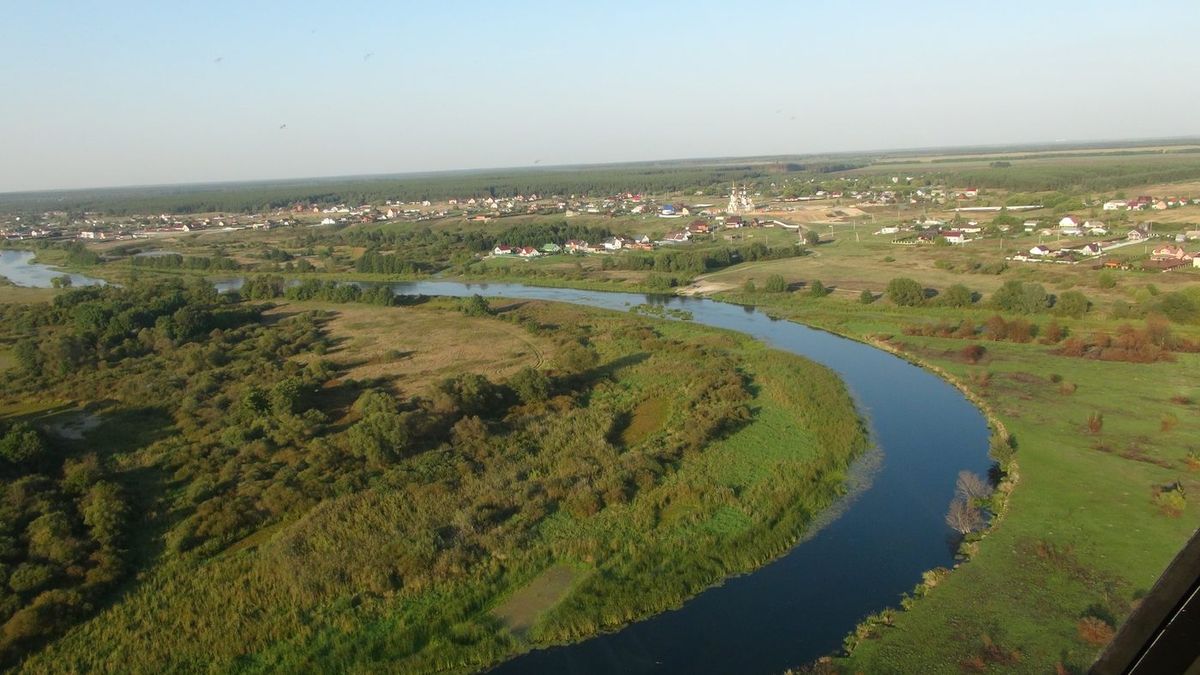 Продажа участка 41,21 сот. под ЛПХ — обл. Воронежская