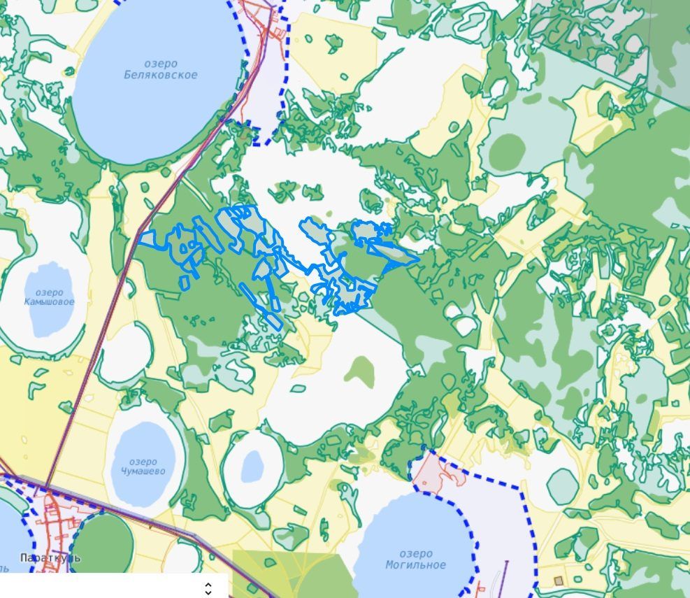 Аренда участка 90,8 га под сельхоз — Курганская область