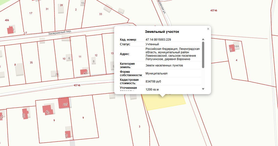 Продажа участка — Ленинградская область (0815003:229)