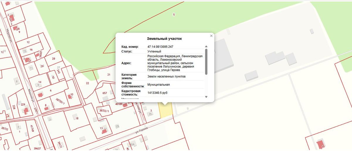 Продажа участка — Ленинградская область (0813005:247)