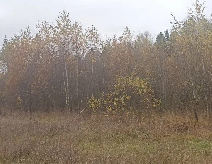 Аренда участка 6,88 сот. под ИЖС — Московская область