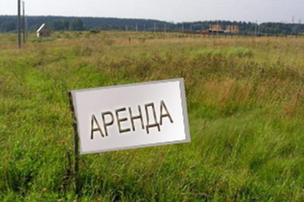 Аренда участка 123,34 га под сельхоз — обл Смоленская