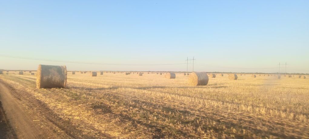 Продажа участка 25,1 га под сельхоз — обл. Ростовская