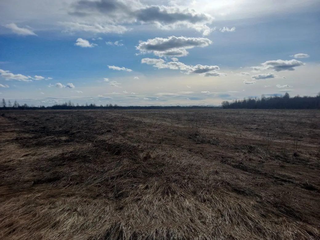 Продажа участка 219,6 га под сельхоз — респ. Мордовия