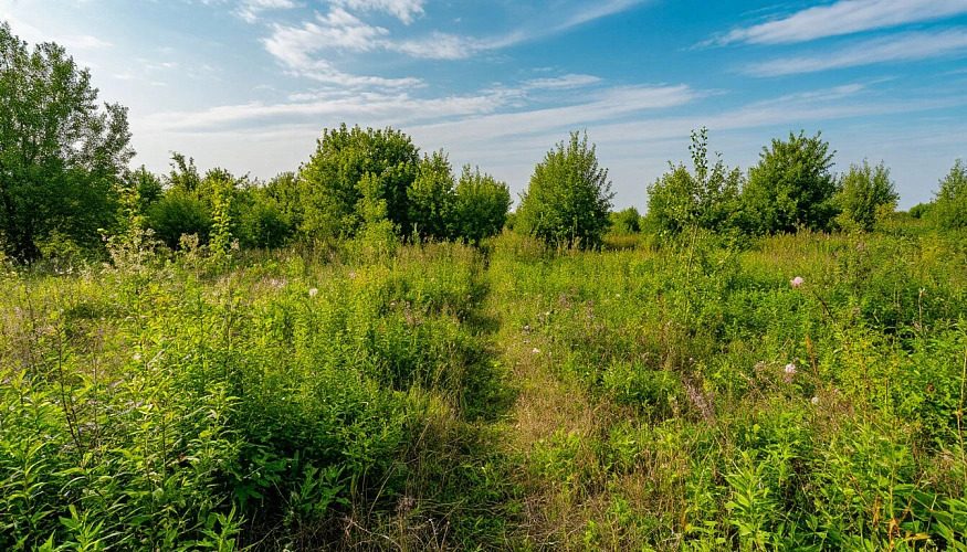 Продажа участка 54 га под сельхоз — Республика Мордовия