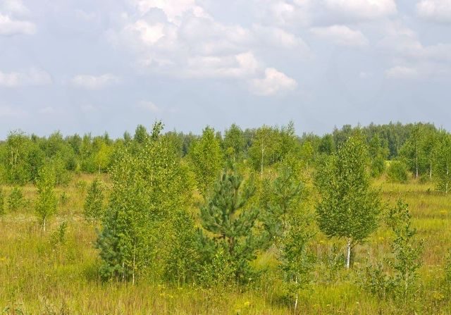 Продажа участка 78,41 га под сельхоз — респ. Мордовия