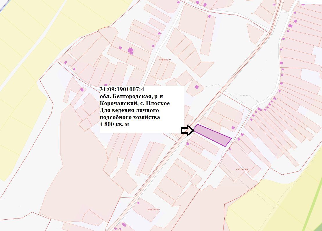 Аренда участка 48 сот. под ЛПХ — Белгородская область