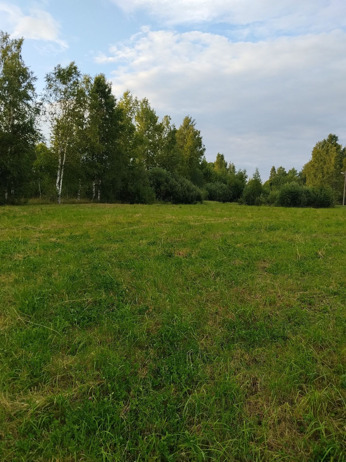 Аренда участка 30 сот. под ЛПХ — Псковская область