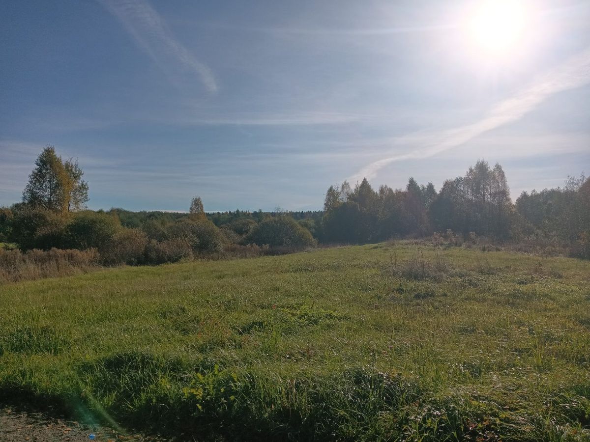 Продажа участка 14,65 сот. под ЛПХ — обл. Новгородская