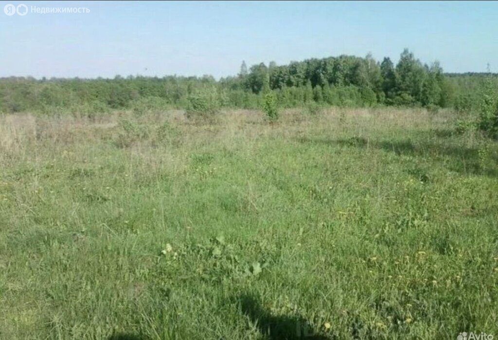 Аренда участка 4 га под ЛПХ — обл. Рязанская