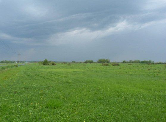 Аренда участка 18 сот. под ЛПХ — обл. Рязанская