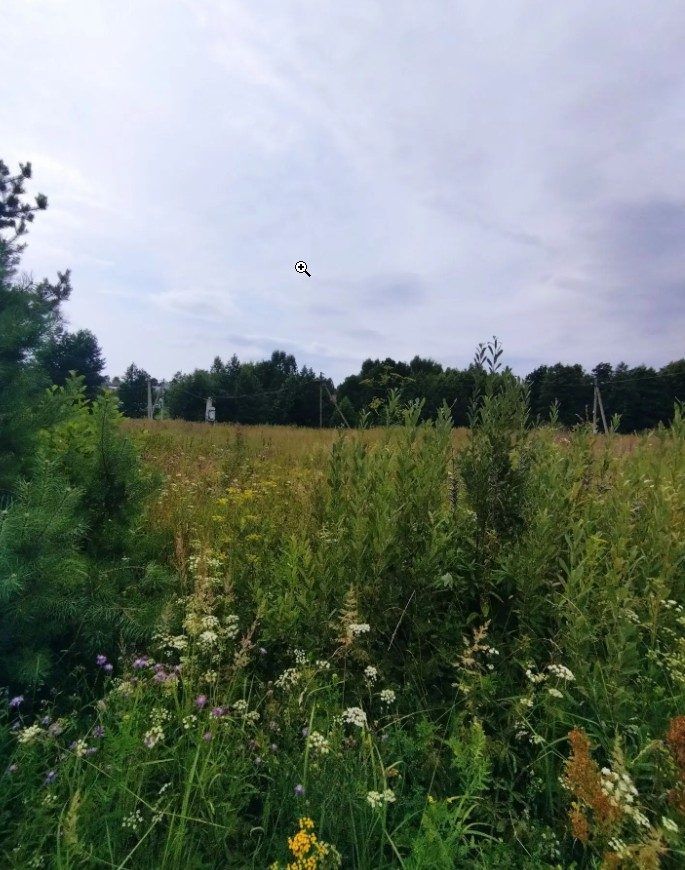Аренда участка 14 сот. под ИЖС — Владимирская область