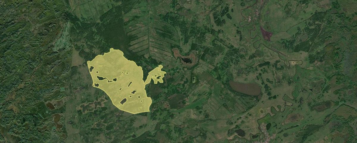 Аренда участка 477,49 га под сельхоз — Омская область