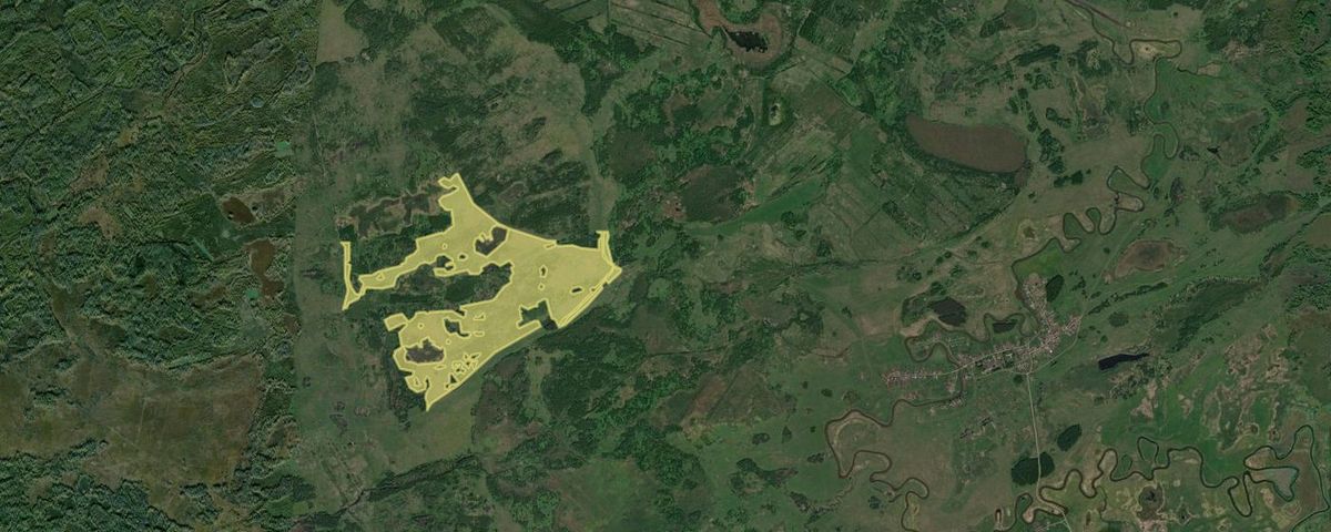 Аренда участка 254,57 га под сельхоз — Омская область