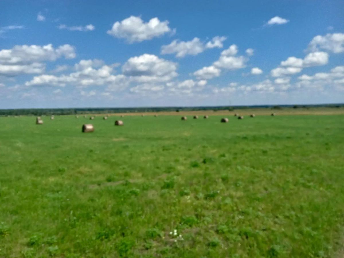 Продажа участка 189 га под сельхоз — респ. Мордовия