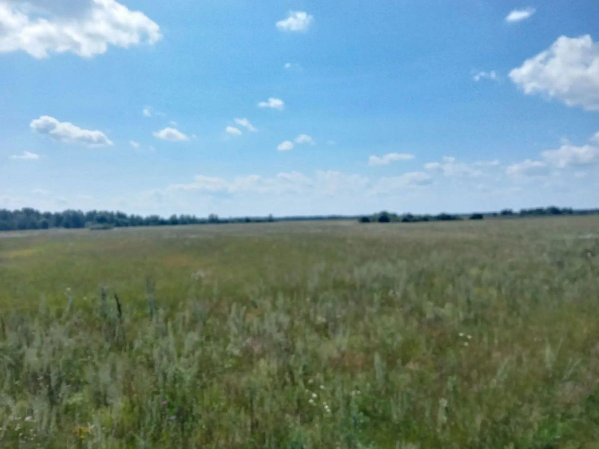 Продажа участка 54 га под сельхоз — Республика Мордовия
