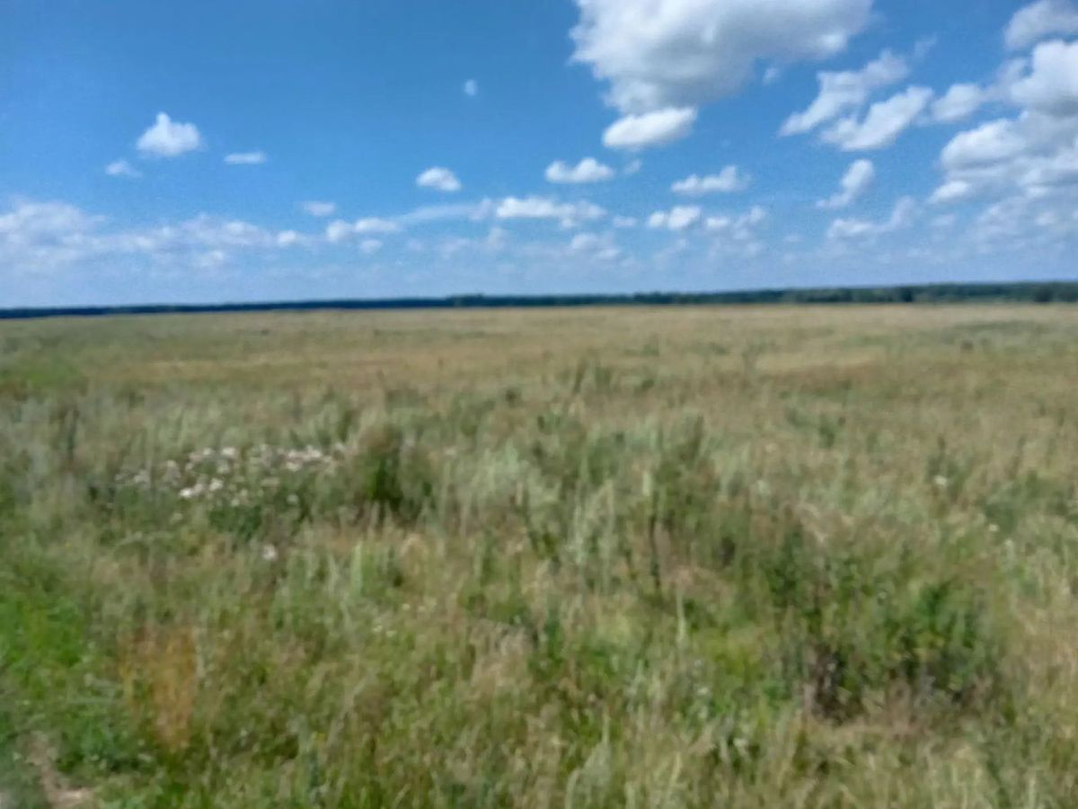 Продажа участка 22,5 га под сельхоз — респ. Мордовия